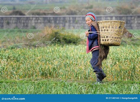 how many farmers are there in china